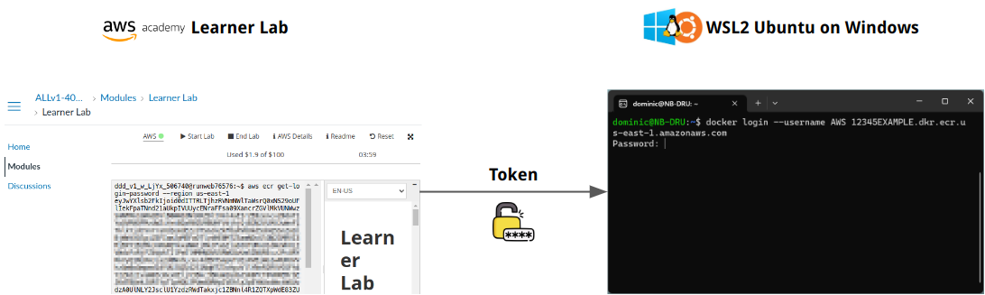 image-20230328081413014